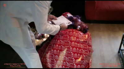 እማዬ፣ የገና ስጦታዬን አገኘሁ ጸጉራማ ፀጉርማ የሆነች እናት ሴት ዉሻ ከትልቅ አህያ ጋር ስለ ዶሮ አብዷል